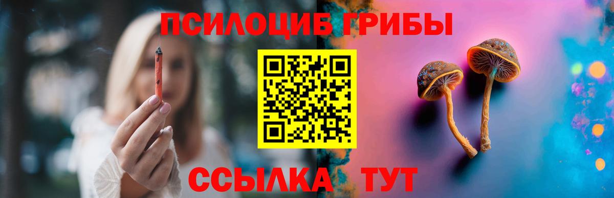 Солнечногорск  Галлюциногенные грибы Psilocybine cubensis  Галлюциногенные грибы прущие грибы  Вход с VPN 